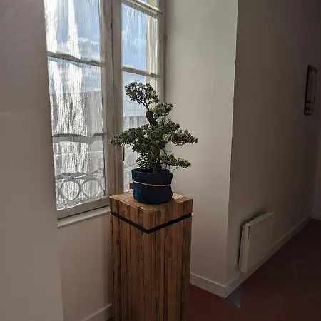 オテル レストラン ル リオン ドール ホテル